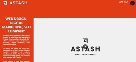 Astash Web Designing And Marketing